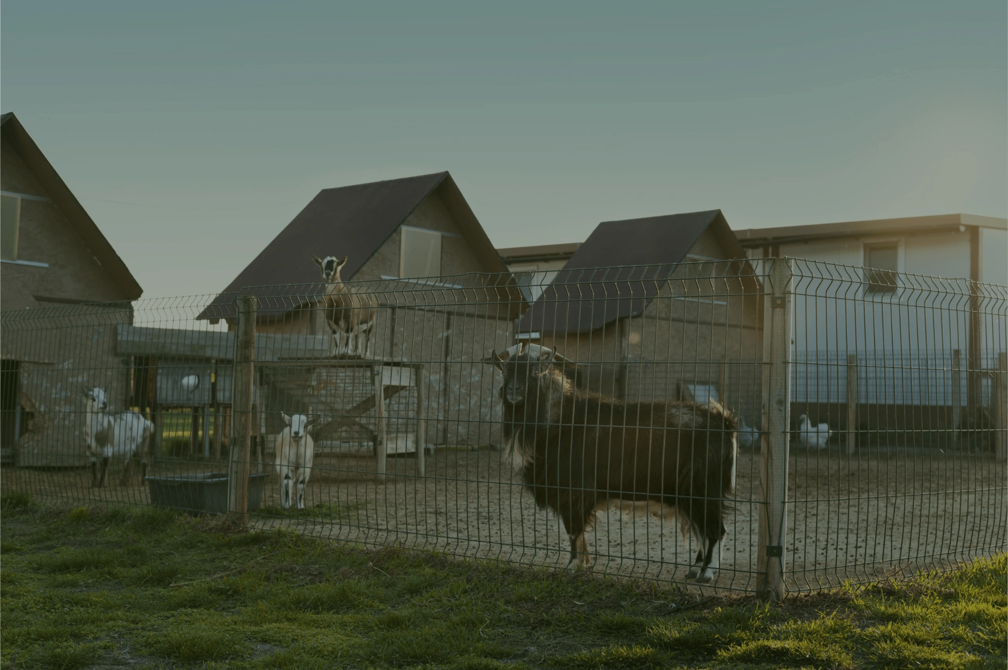 Untitled design (7)-min (1)