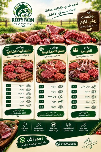بوكس ست البيت الشاطرة